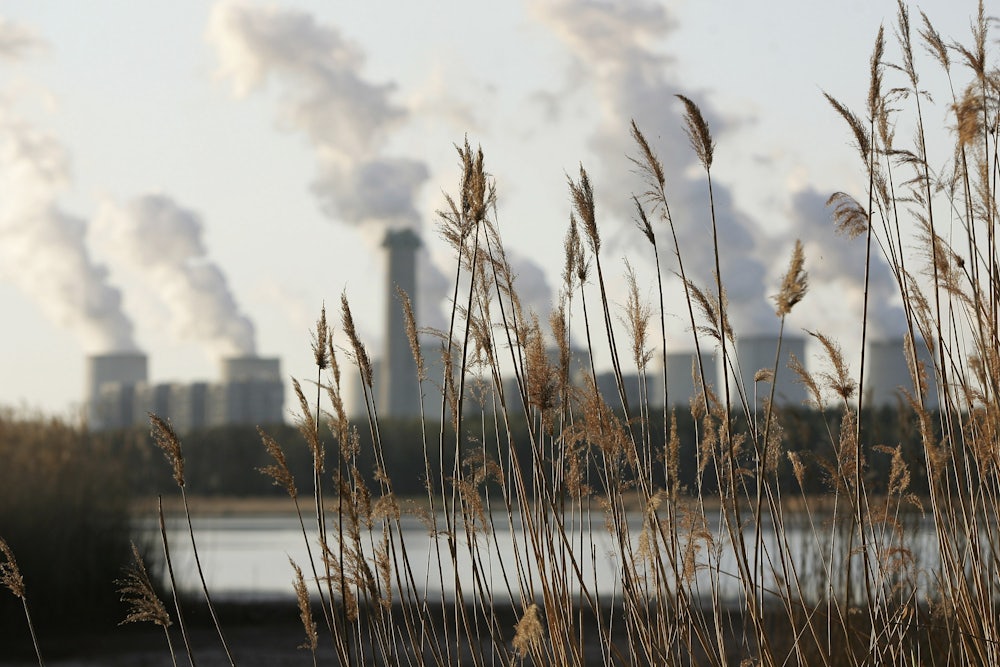Grass is seen in the foreground with a lake beyond and long plumed from cooling towers on the other side of the lake.