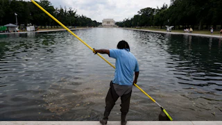 A man in a blue shirt and dark pants uses a long yellow pole to clean the Lincoln Memorial Reflecting Pool, with the memorial building visible in the background.
