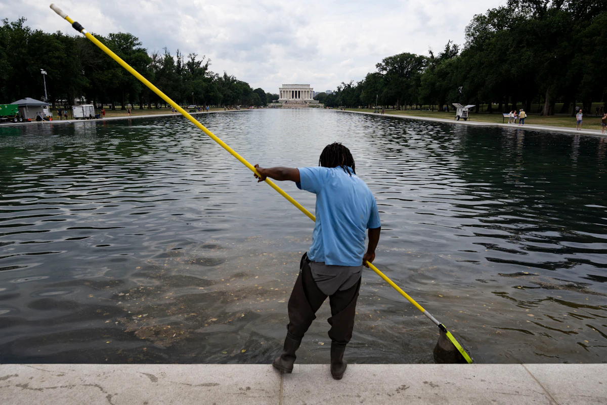 Democratic Senator Demands Trump Pay for Reflecting Pool Disaster Democratic Senator Demands Trump Pay for Reflecting Pool Disaster