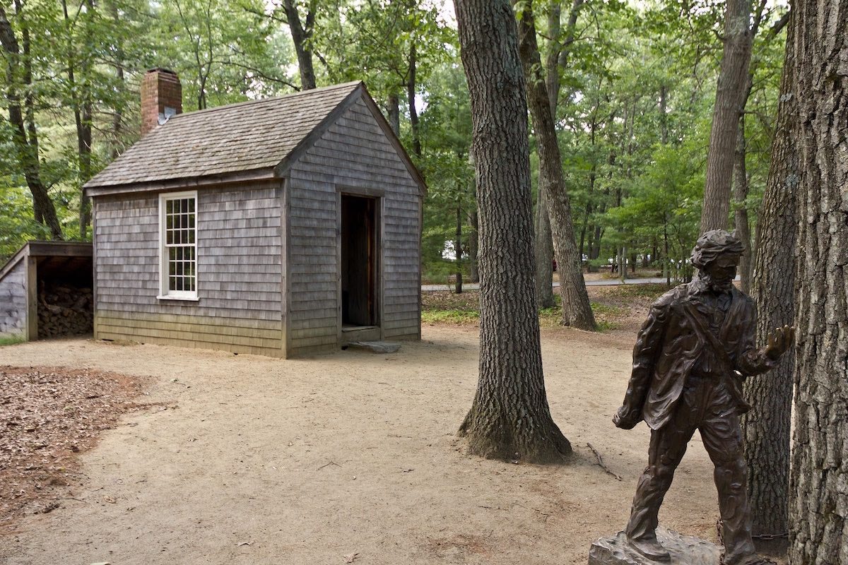 Everybody Hates Henry David Thoreau The New Republic