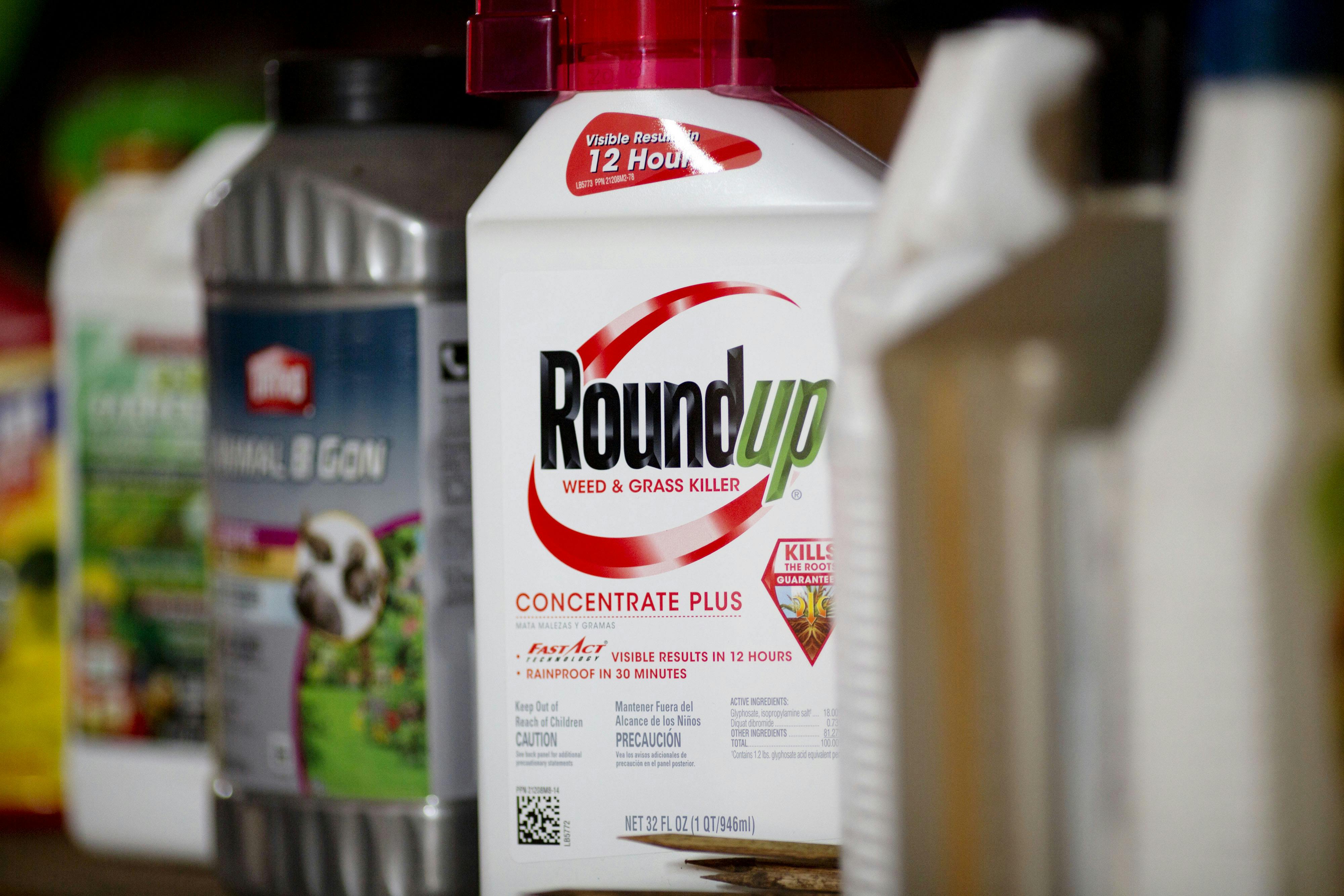An image shows a bottle of Roundup weed killer on a shelf with other bottles.