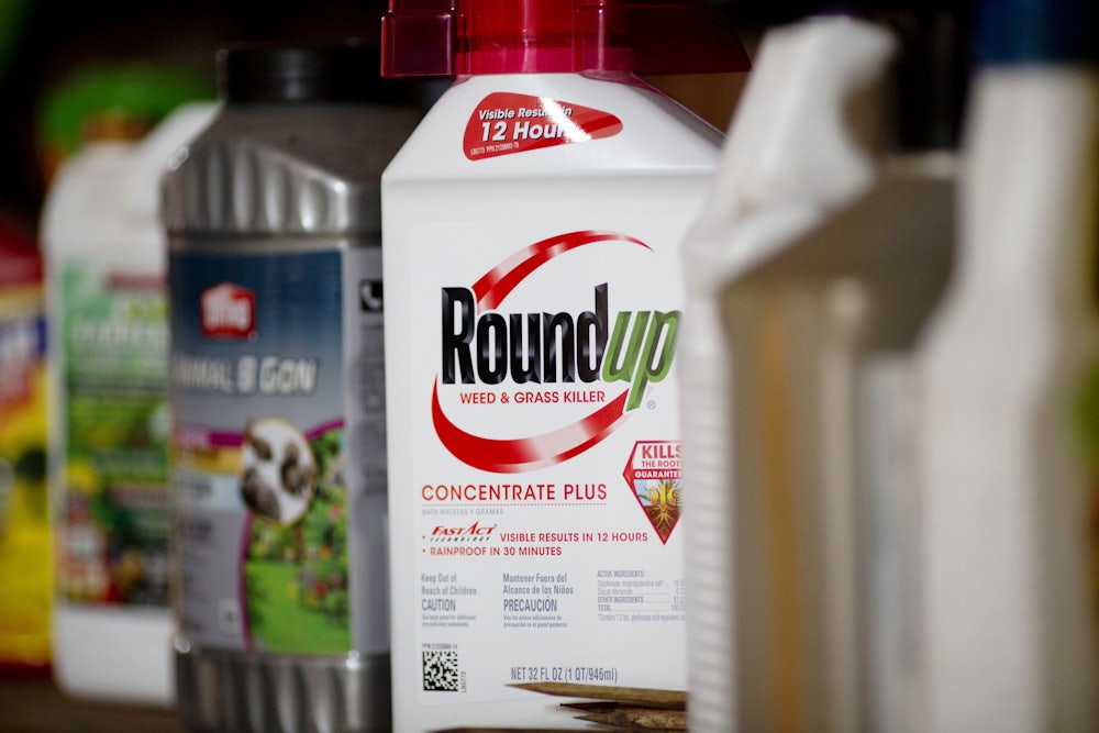 An image shows a bottle of Roundup weed killer on a shelf with other bottles.