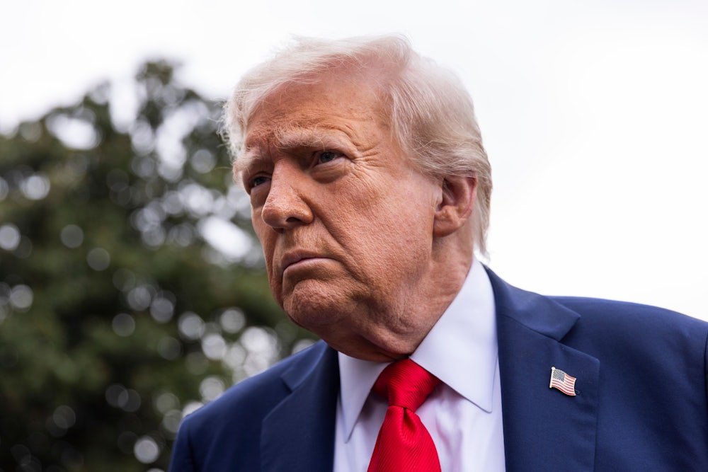 Close up of Donald Trump