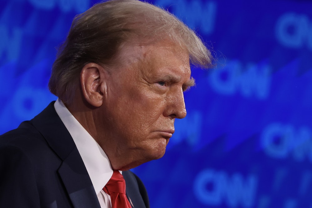 Donald Trump (profile shot)