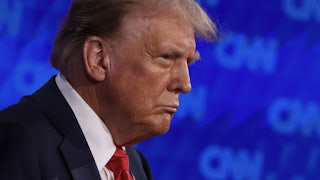 Donald Trump (profile shot)