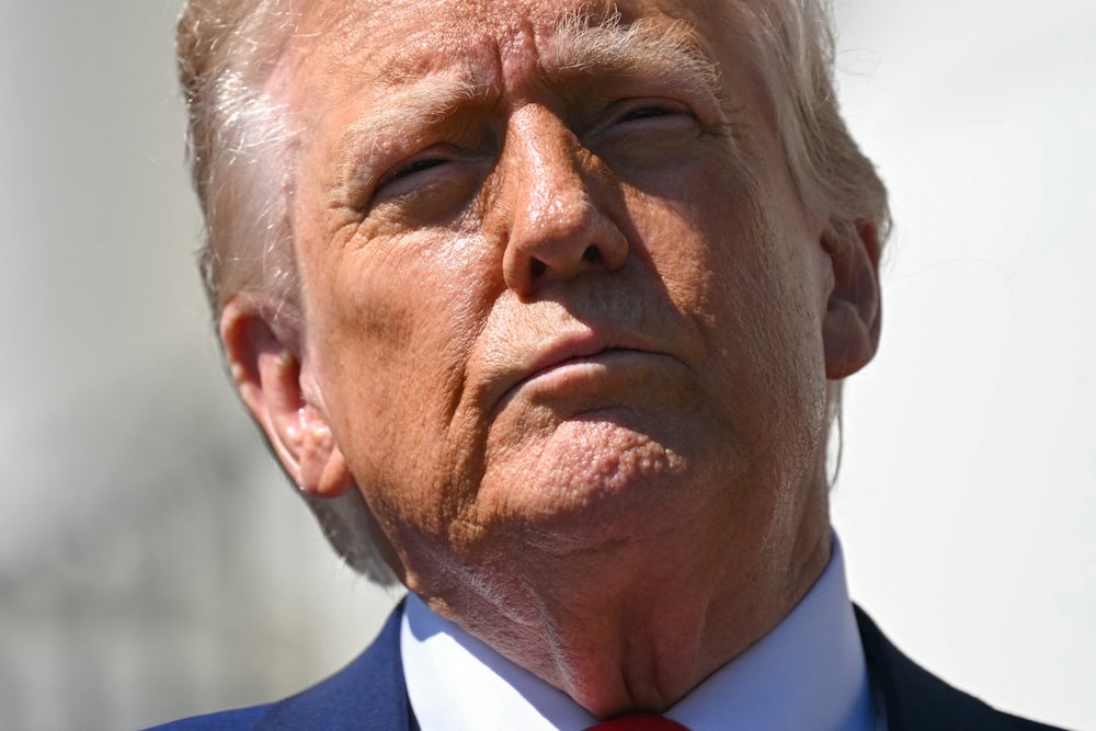 Donald Trump squints into the sun, facing the camera.