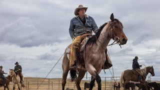 Cattle rancher taking a calf to be branded