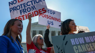 Protesters in front of the Supreme Court hold signs reading "No liability protection from pesticides" and "Stop poisoning us."