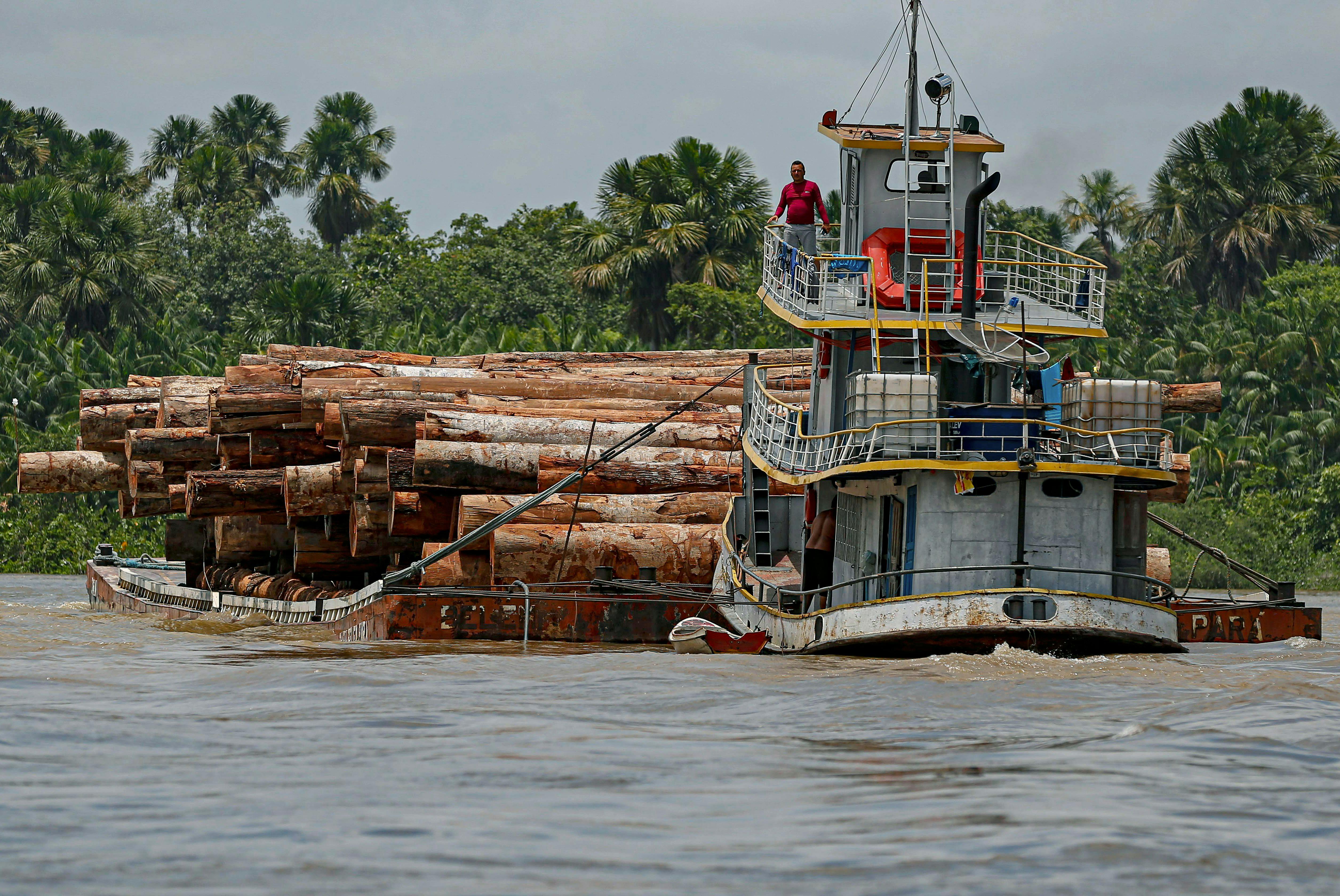 A vessel transports logs on a raft.