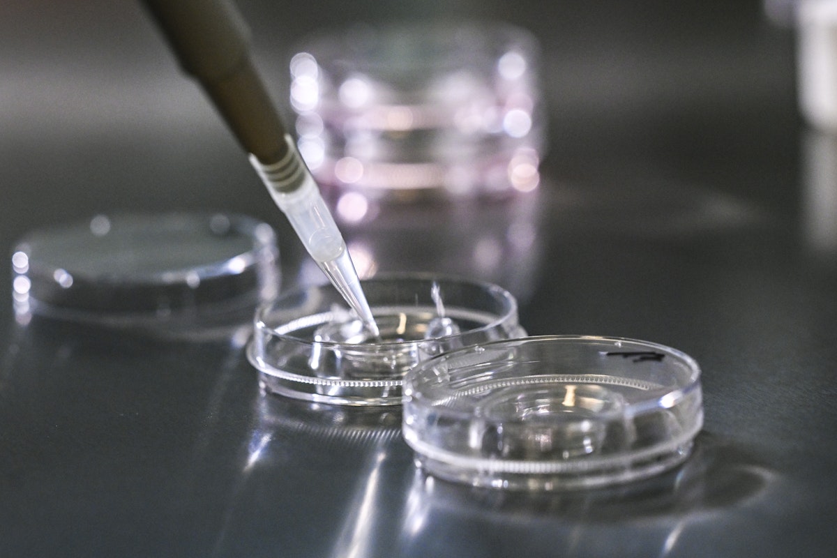 Alabama Republicans Display Shocking Hypocrisy on IVF With New Bill Alabama Republicans Display Shocking Hypocrisy on IVF With New Bill