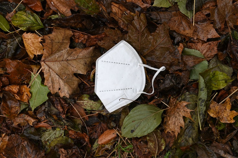 A face mask lies on the ground on leaves.