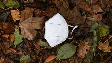 A face mask lies on the ground on leaves.