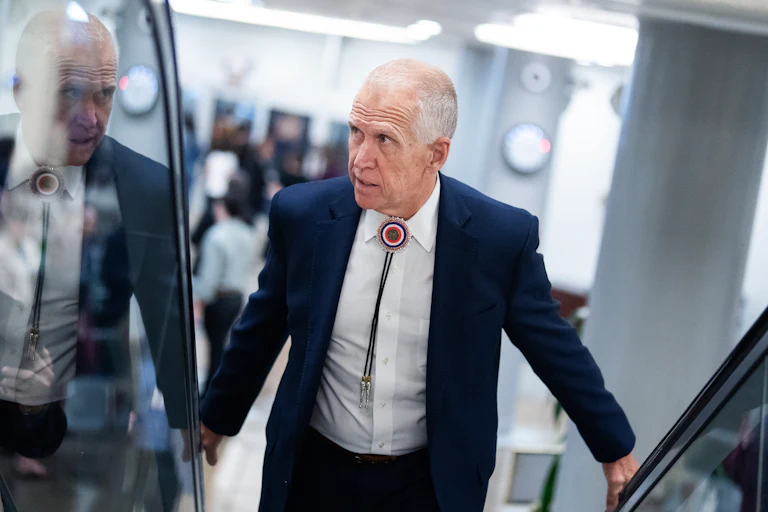 Senator Thom Tillis