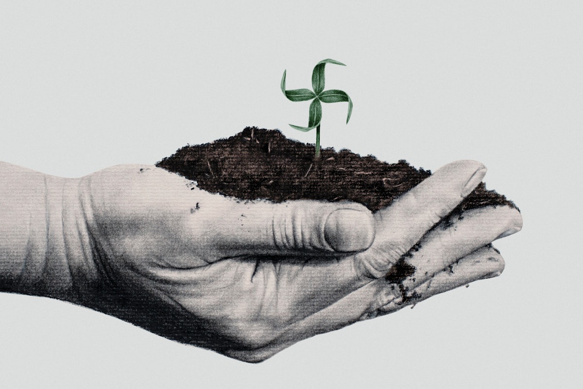 Image result for racism "ecofascism"