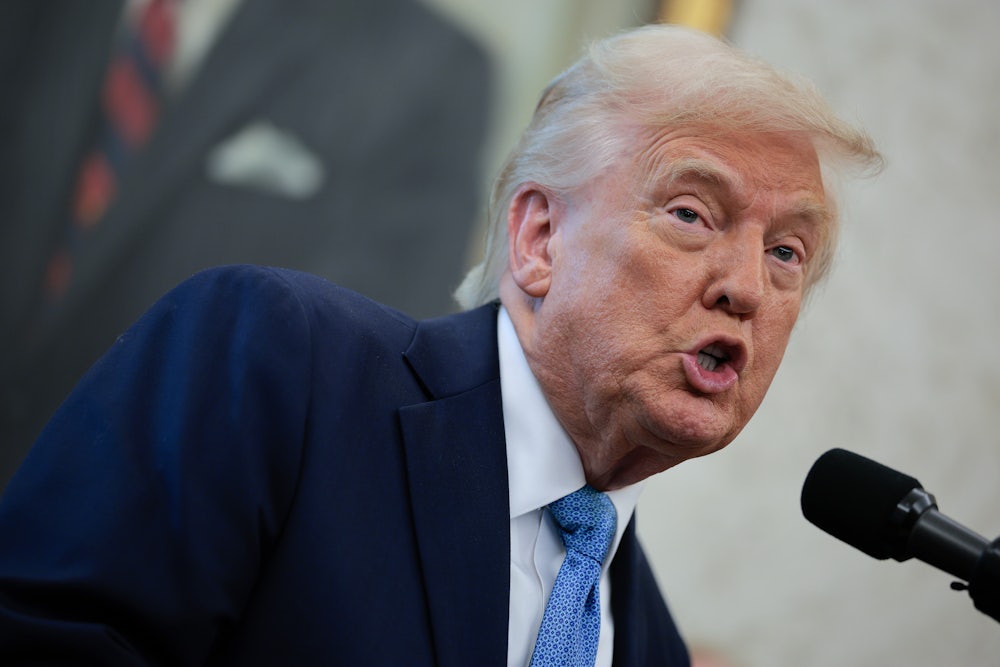 Donald Trump speaks animatedly into a microphone