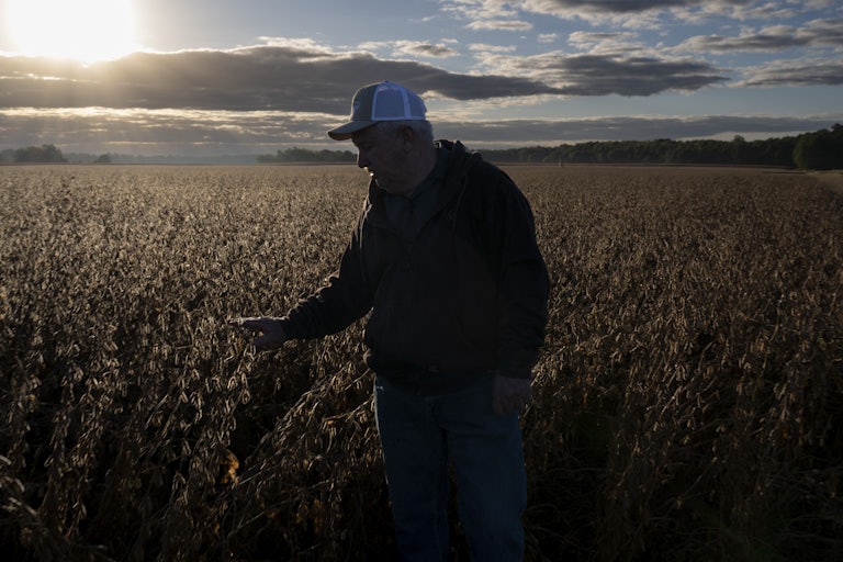 A farmer stands in his soybean field
