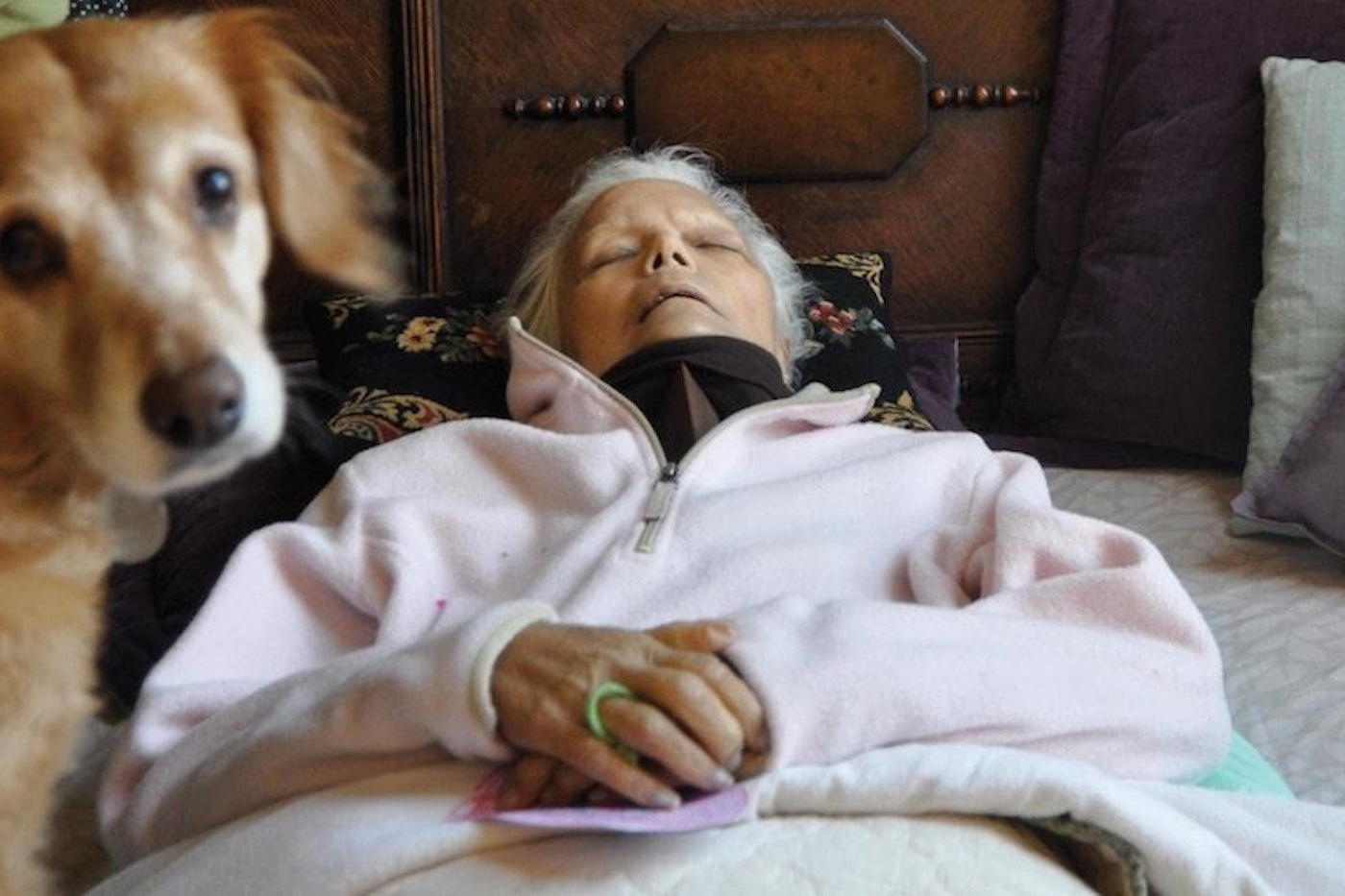 Who Owns The Dead The New Republic