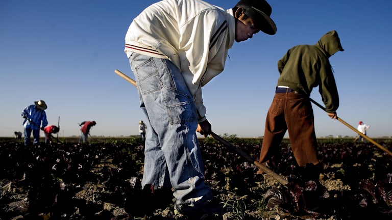 Migrant workers at a produce farm