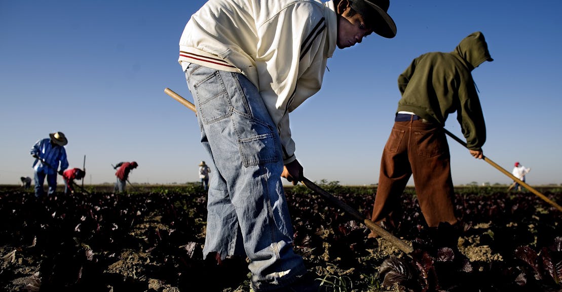 The Shocking, Sickening Reality of Child Labor in America The Shocking, Sickening Reality of Child Labor in America