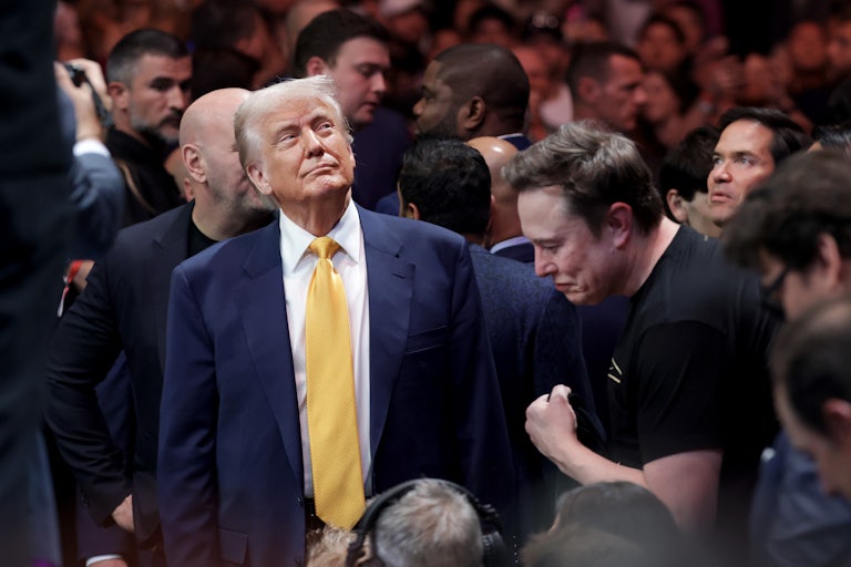 Donald Trump and Elon Musk stand next to each other at a UFC match