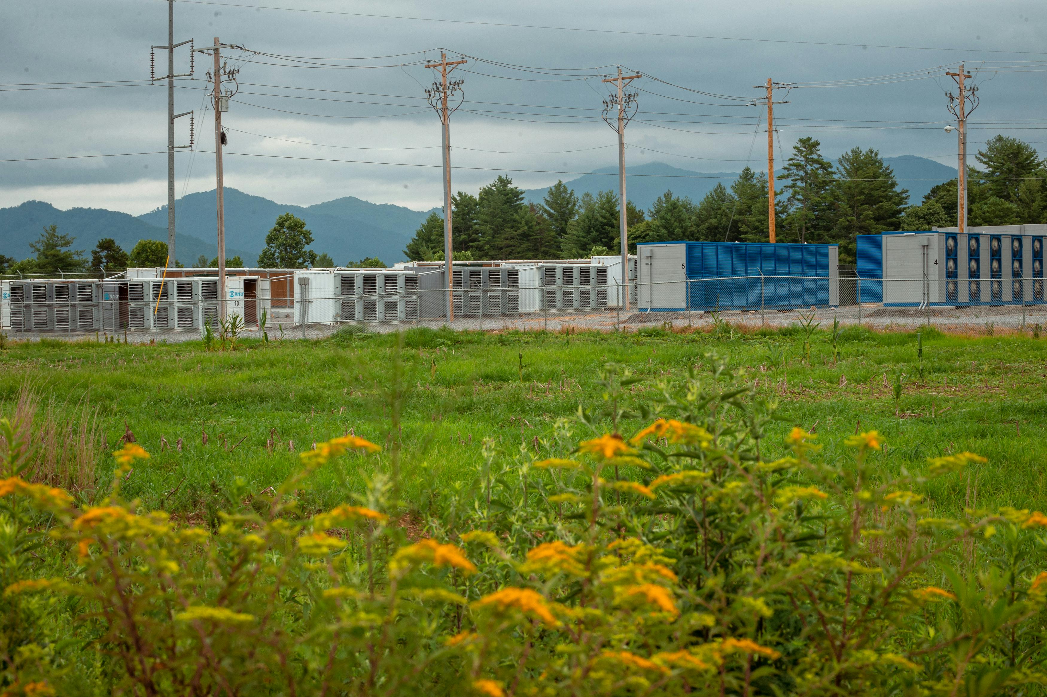 A meadow with wildflowers in the foreground with power lines and low buildings and mountains in the background.