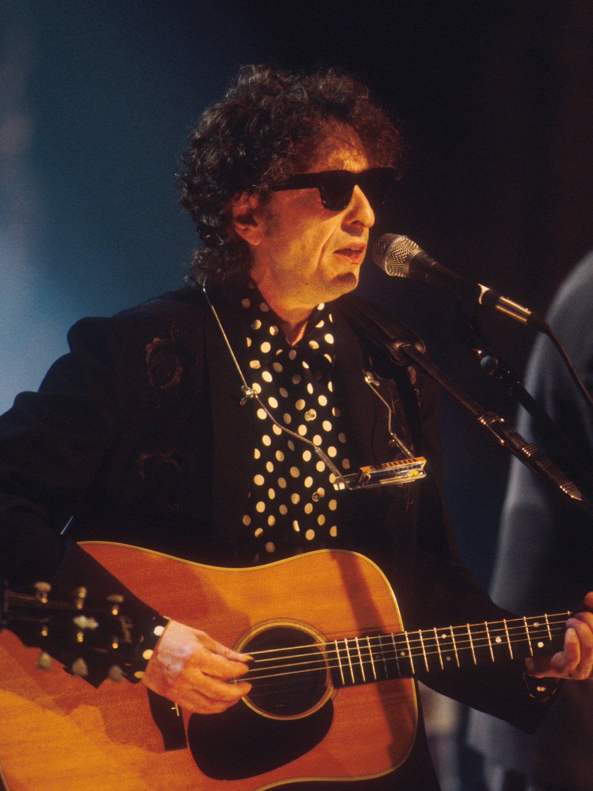Bob Dylan performs