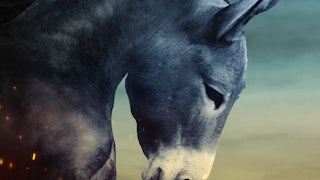 A powerful-looking donkey symbolizes the fighting spirit that Democrats need to find. This is how we can regain control of the government.