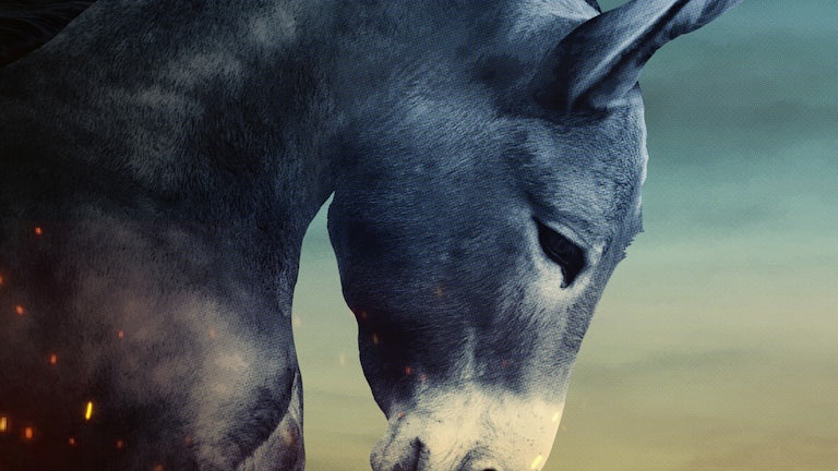 A powerful-looking donkey symbolizes the fighting spirit that Democrats need to find. This is how we can regain control of the government.