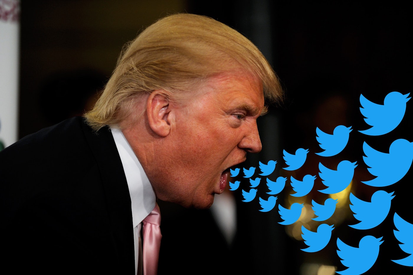 President twitter account President twitter account