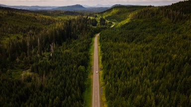 Aerial view of a truck driving through a heavily forested road with mountains in the background.
