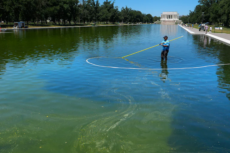 A National Park Service employee stands in the Lincoln Memorial Reflecting Pool trying to clean algae with a vacuum pump.