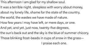 To My Shallowness