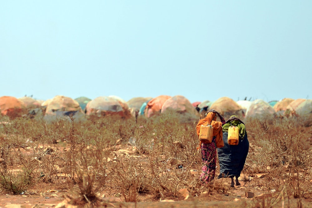 Two people walk away from the camera, surrounded by dried out vegetation, with tents in the background.
