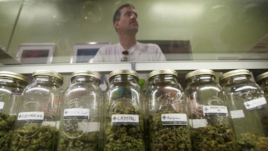 A man looks over the offerings at a weed dispensary.