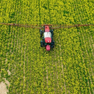 An agricultural vehicle drives through a crop field.
