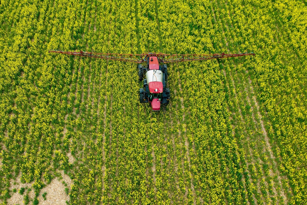 An agricultural vehicle drives through a crop field.