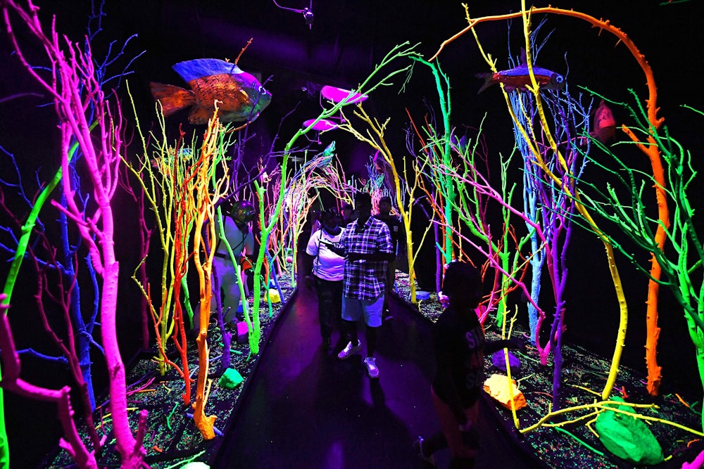 visitors walk through glow-in-the-dark fake trees and fish at Meow Wolf art installation in Santa Fe