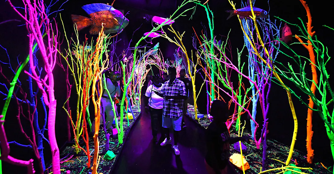 What Happened When a Trippy Art Collective Hit It Big—Then Unionized What Happened When a Trippy Art Collective Hit It Big—Then Unionized