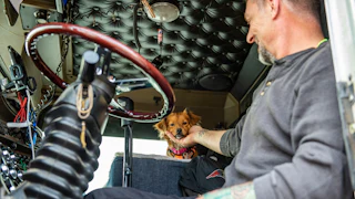 Truck driver with dog