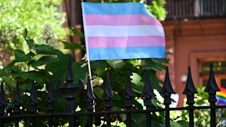 The transgender pride flag