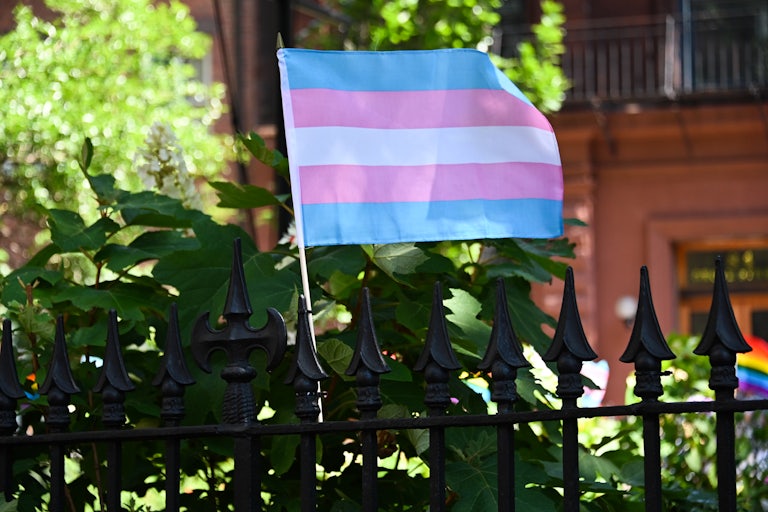 The transgender pride flag