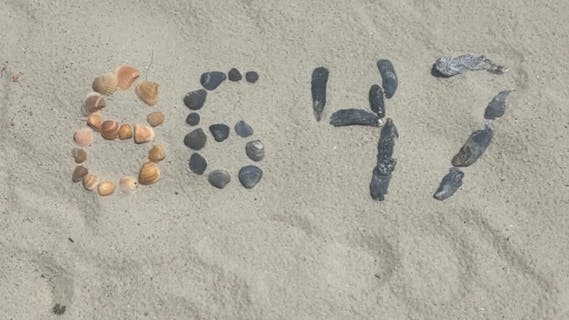 "8647" spelled out in seashells on sand