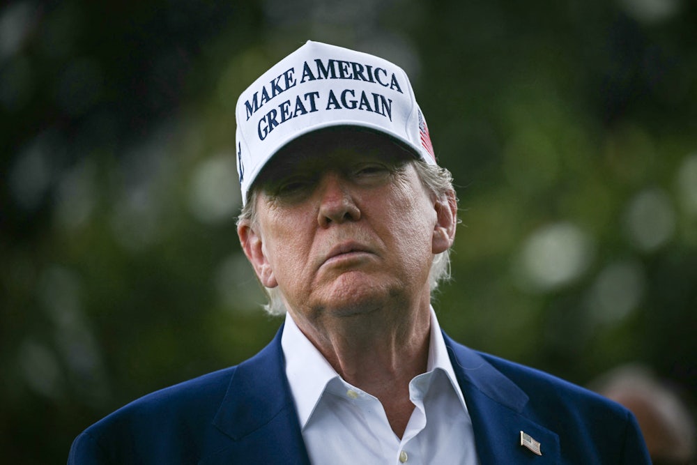 Donald Trump wears a white "Make America Great Again" hat and stands on the White House lawn