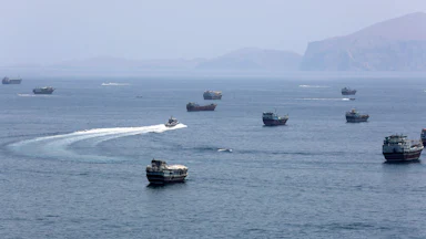 Ships in the Strait of Hormuz