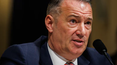 ICE chief Todd Lyons testifies in Congress