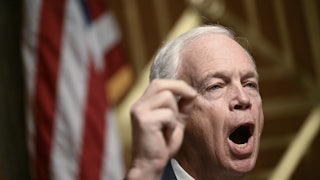 Senator Ron Johnson gestures and speaks during a committee hearing