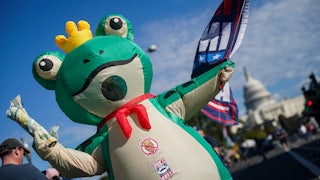 A person wears an inflatable frog costume at an anti-Trump protest in Portland, Oregon
