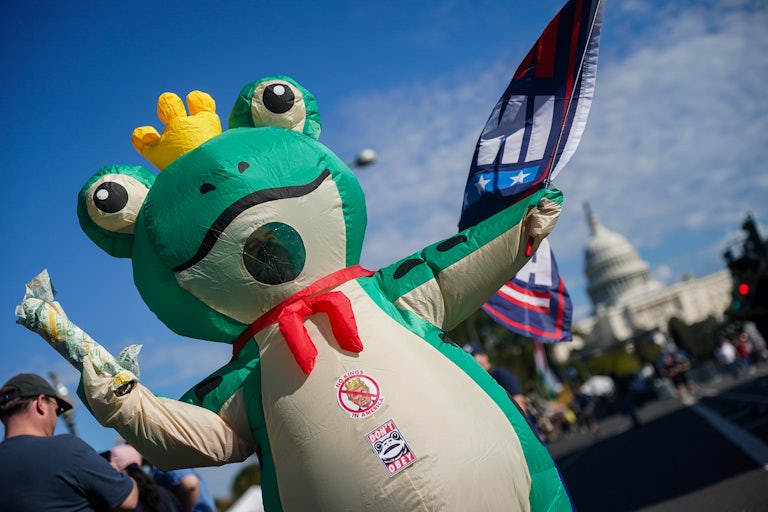 A person wears an inflatable frog costume at an anti-Trump protest in Portland, Oregon