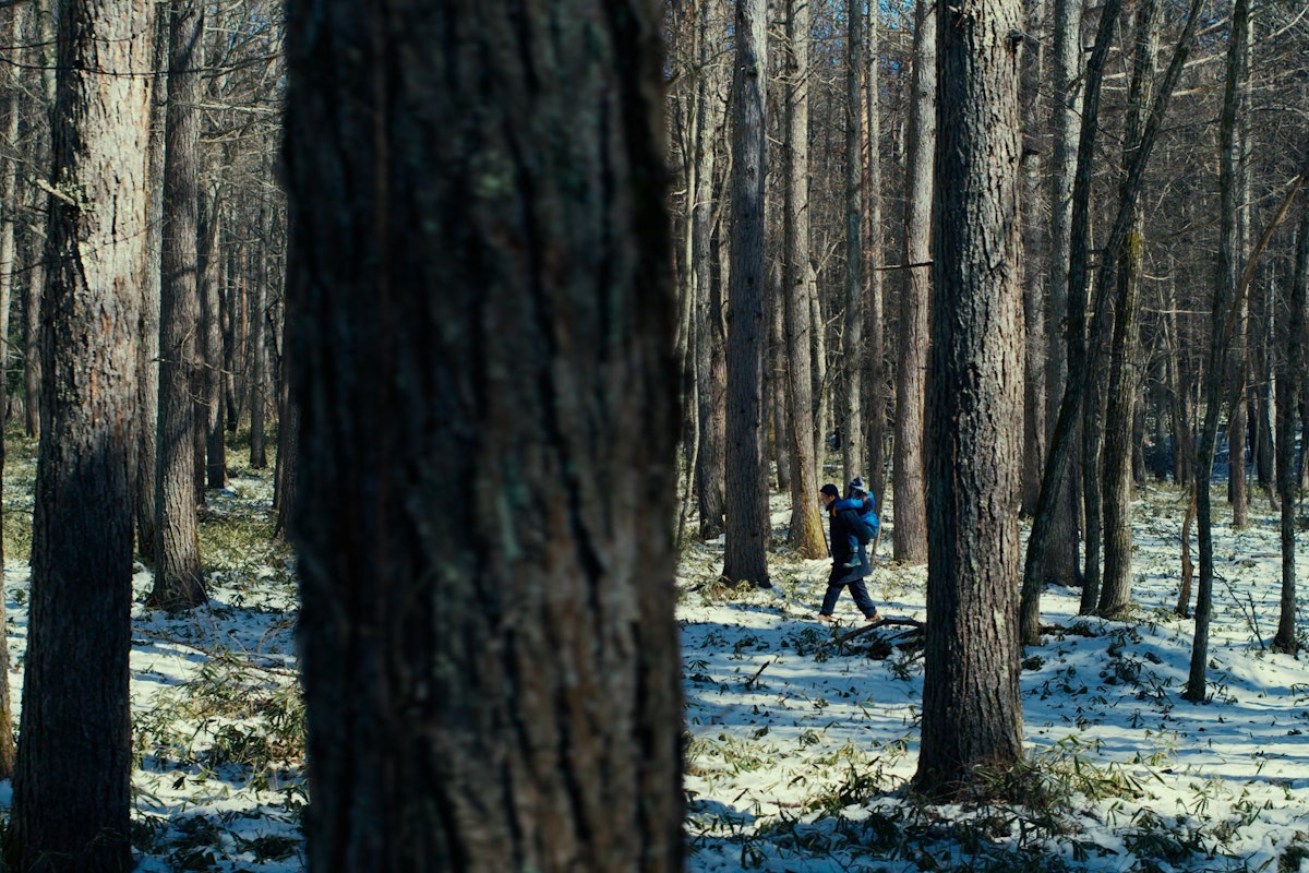 The Unsettling Eco-Horror of Evil Does Not Exist The Unsettling Eco-Horror of Evil Does Not Exist