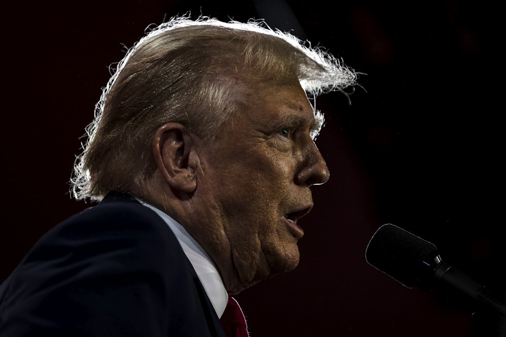 Donald Trump in profile speaking vehemently into a microphone